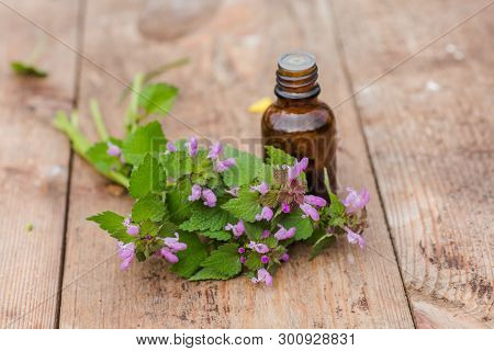 Pharmaceutical Bottle Of Medicine From Thymus Vulgaris, Common Thyme, German, Garden Or Just Thyme O