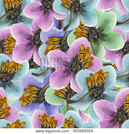 Pyrola. Texture Of Flowers. Seamless Pattern For Continuous Replicate. Floral Background, Photo Coll