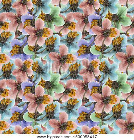 Pyrola. Texture Of Flowers. Seamless Pattern For Continuous Replicate. Floral Background, Photo Coll