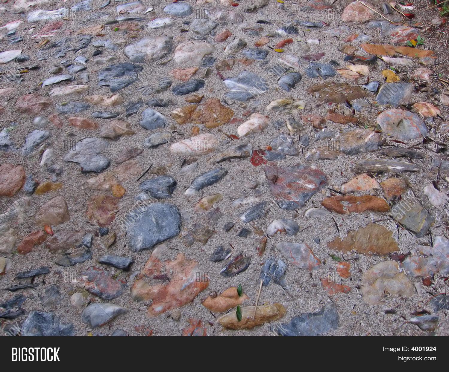 Image Preview