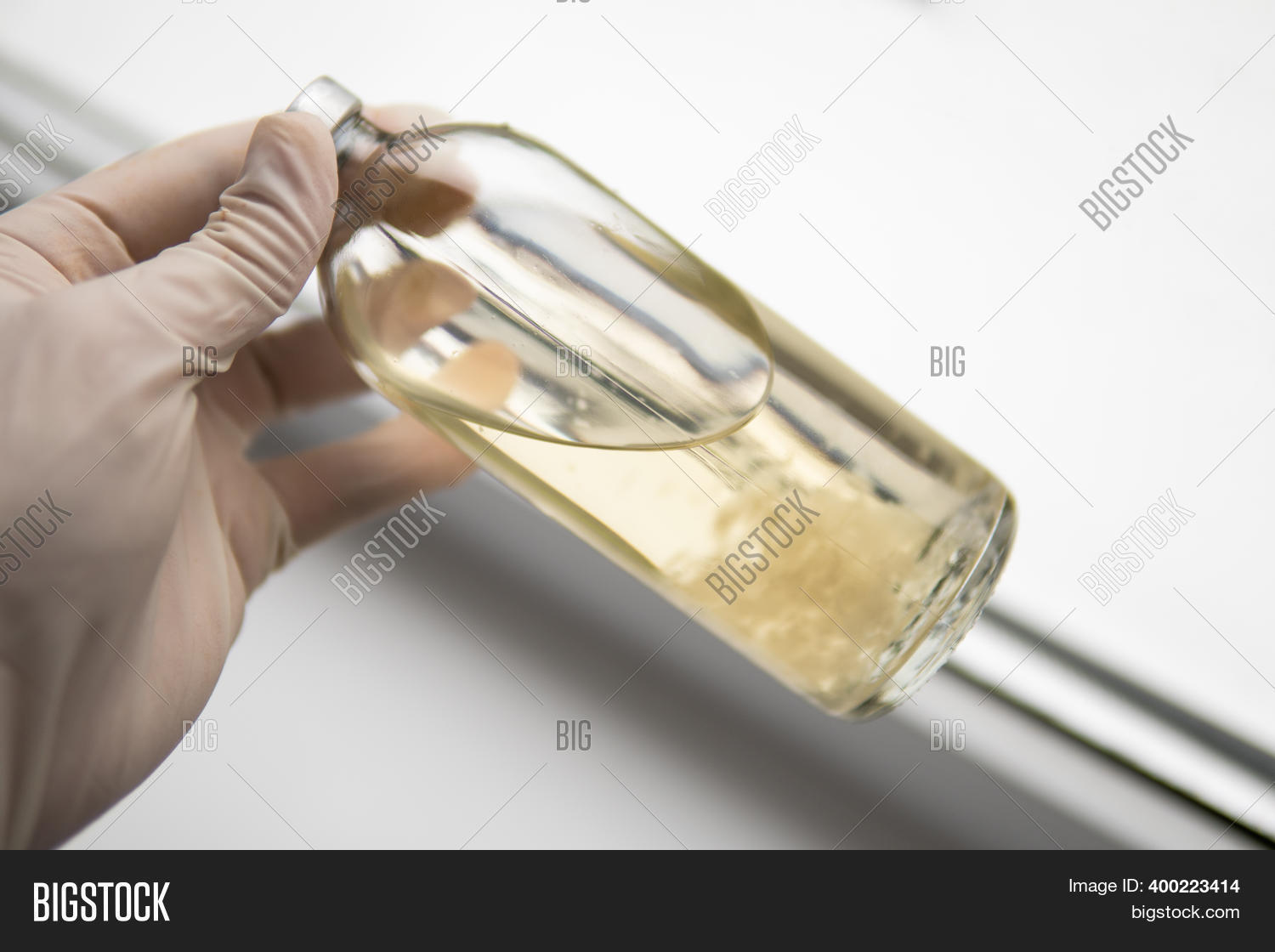 Medicines Mushroom Image & Photo (Free Trial) Bigstock