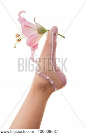 Foot In Beautiful Pink Socks Made Of Transparent Bobbinet Are Hold A Lily Flower Isolated On White B