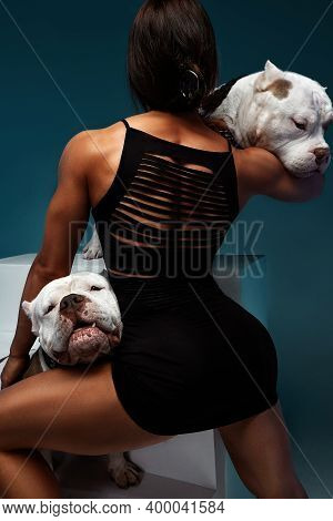 Sexy And Srong Brunette Woman Posing With Bully Dogs In Studio On Blue Background. Rear View