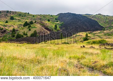 Mount Etna Volcanic Landscape And Its Typical Summer Vegetation