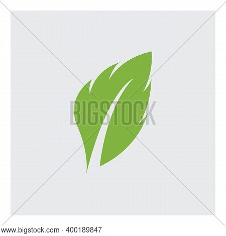 Leaf