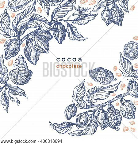 Cacao Texture Plant. Vector Graphic Bean, Branch. Art Hand Drawn Botanical Illustration On White Bac