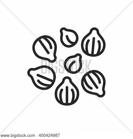Coriander Black Line Icon. , Seasoning. Vector Illustration