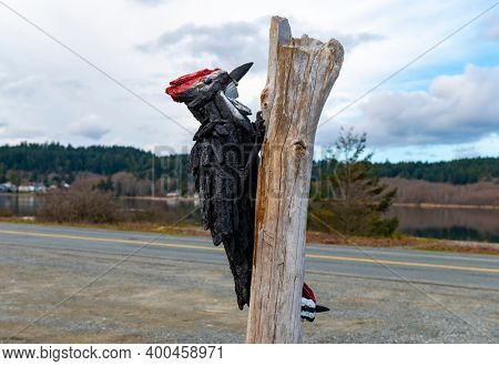 Coastal driftwood art from Esquimalt Lagoon, Vancouver Island, Canada