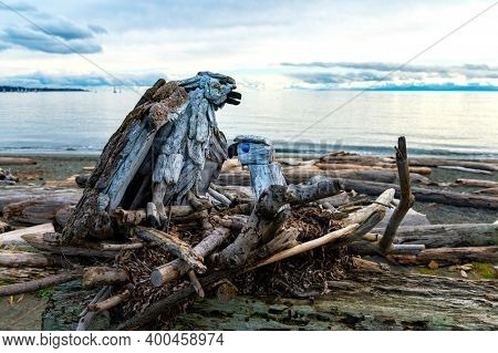 Coastal driftwood art from Esquimalt Lagoon, Vancouver Island, Canada