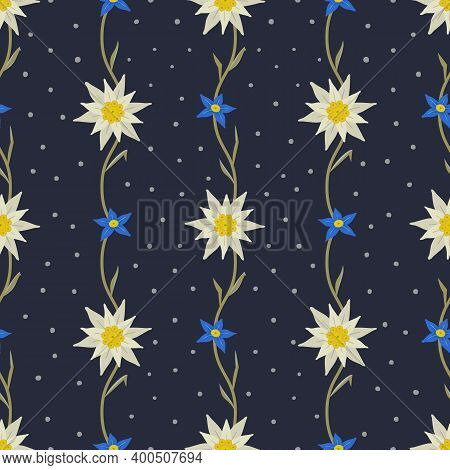 Edelweiss Floral Polka Dots Hand Drawn Seamless Vector Pattern. Star Shape Flower Symbol Of Alpes. M
