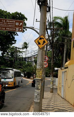 Signage Of Transvestite In Salvador