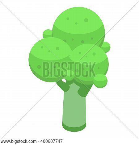 Healthy Brocoli Icon. Isometric Of Healthy Brocoli Vector Icon For Web Design Isolated On White Back