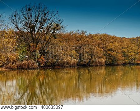 Lakes in the fall. Reflection of trees in the water surface. Sepi colo
