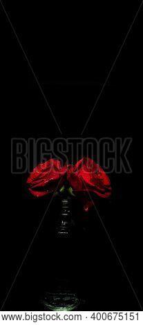 Portrait Of Closeup Valentine's Setup Red Rose Flower Placed On A Glass Pot Isolated On A Black Back