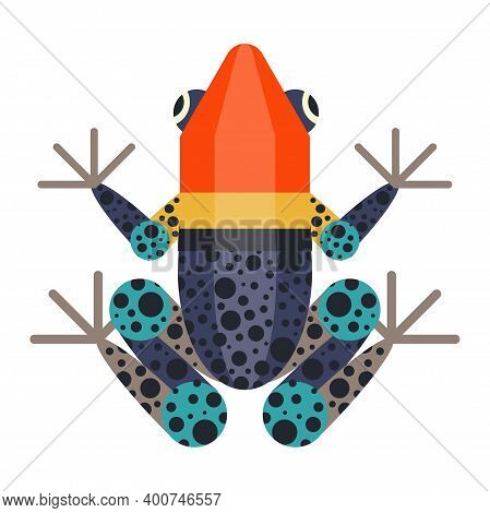 Tropical Poison Geometric Frog In Flat Design
