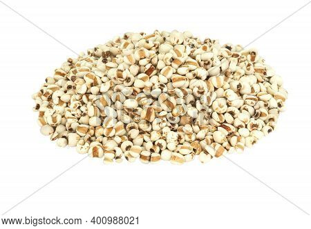 White Job's Tears, Adlay Millet Or Pearl Millet Isolated On White Background. Raw Food For Health Co