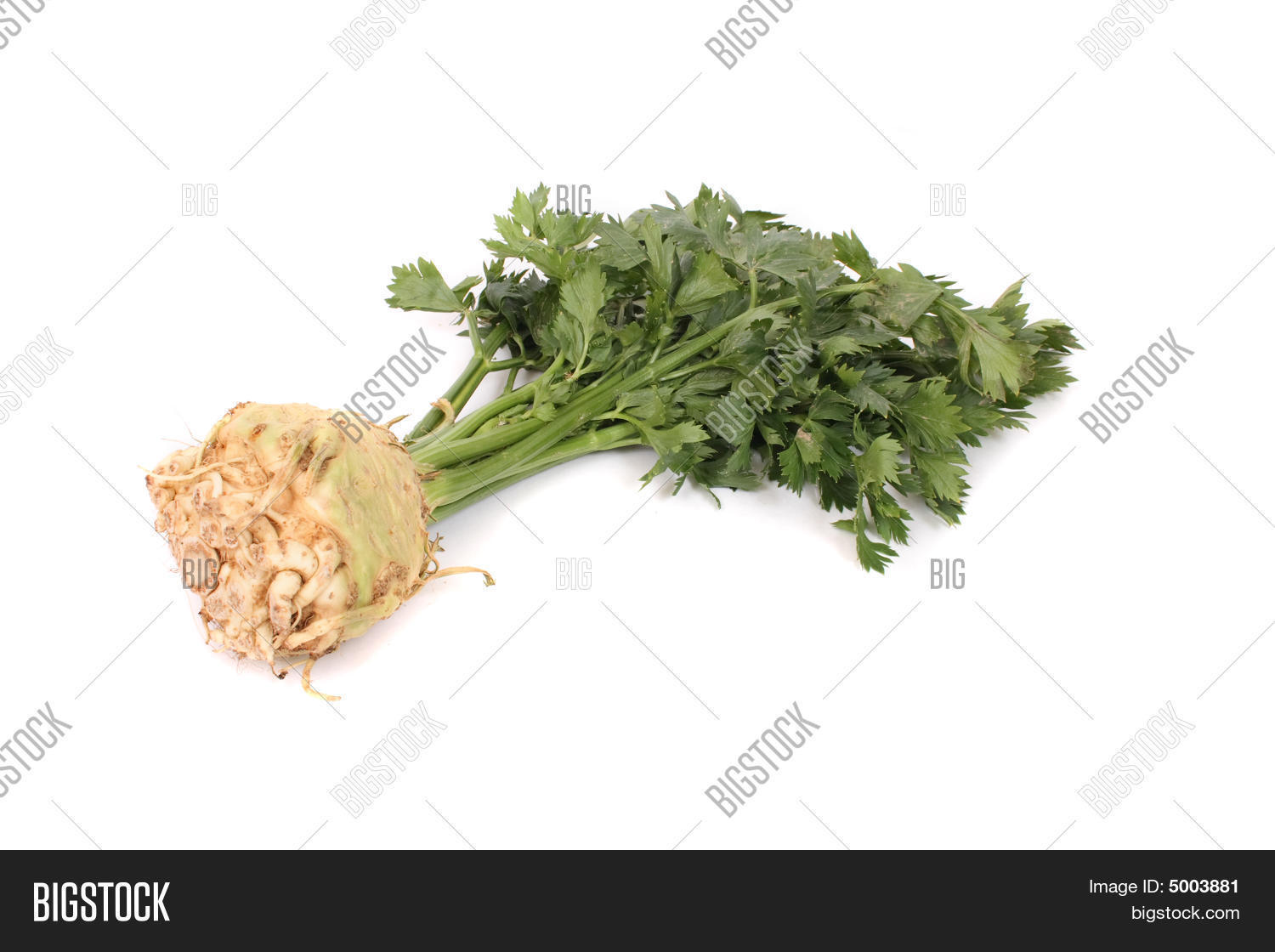 Image Preview