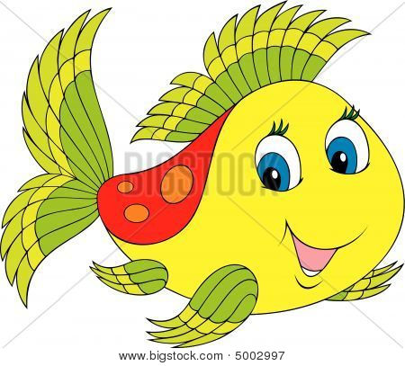 Korallenfische