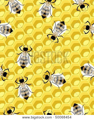 honeycomb and bee