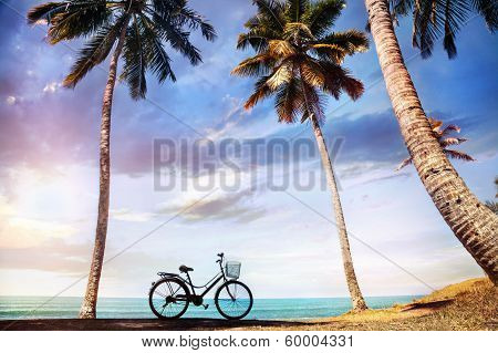 Bicycle Near The Ocean