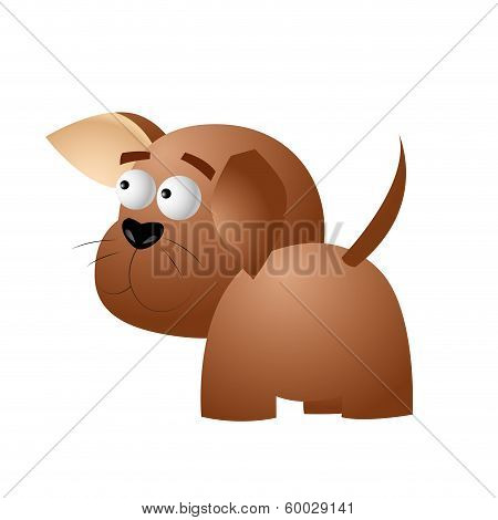 pets