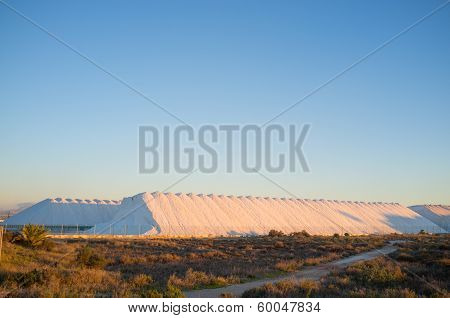 Salt Mine