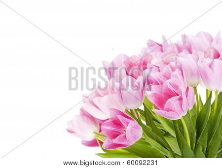 Bouquet Of Fresh Tulips Against White Background