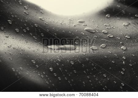 Bodyscape Of A Nude Woman With Wet Stomach And Back Lighting Artistic Conversion