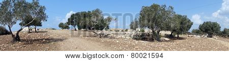 Ancient Ruins