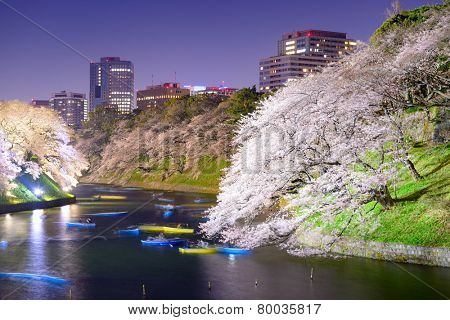 Tokyo, Japan at Chidorigafuchi Imperial Palace moat during the spring season.