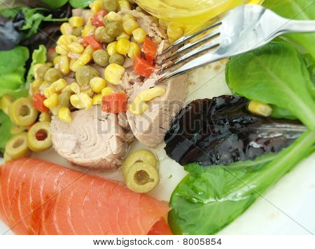Thunfisch