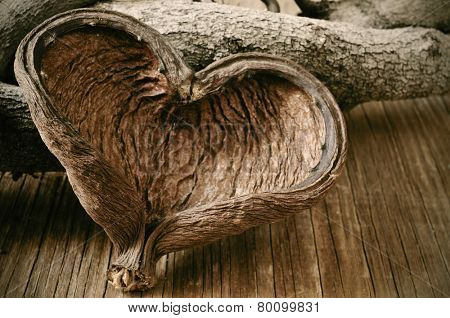 closeup of a heart-shaped nut shell and some logs in the background on a rustic wooden surface