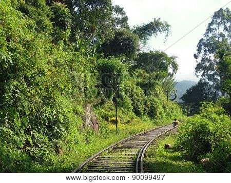 railway in the forest