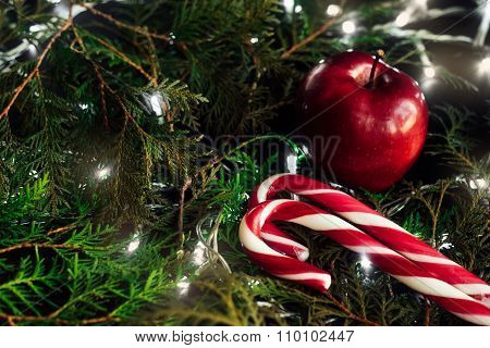 Amazing Beautiful Green Cedar With Candy And Apple  Christmas Golden Vintage Garland Lights