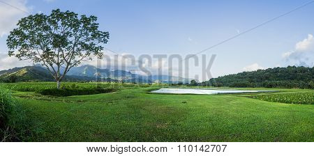 Panoramic View Of Hanalei Valley In Kauai