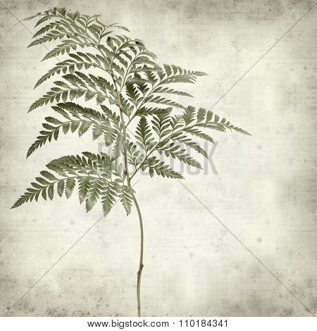 Textured Old Paper Background