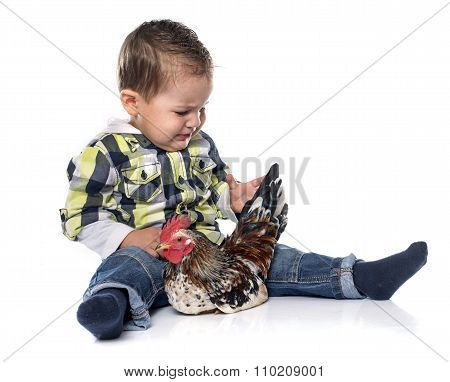 Little Boy And Chicken