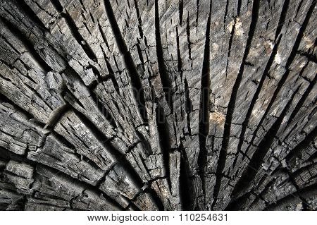 Abstract burn wood background
