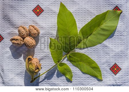 Walnut harvest and leaves.