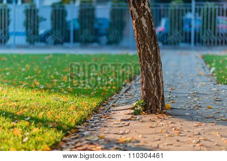 Alley in afternoon.
