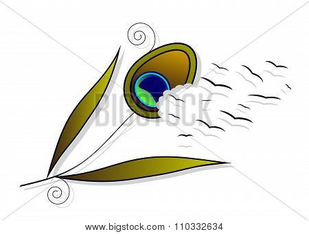 icon feather of a peacock and bird.