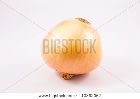 onion