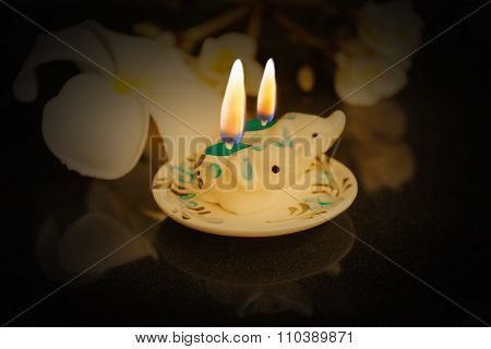 Pair Of Lovely Mini Candle Painted Elephant  Lighted Among The Dark