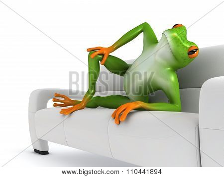 Tropical  posing frog