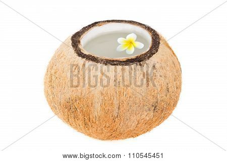 Tropical Coconut Refreshment