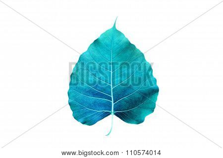 abstract colorful blue leaf, isolated on white background