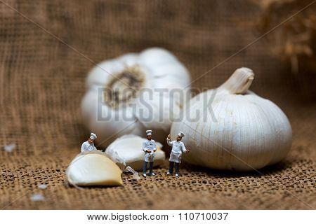 Cooking Process Concept. Miniature Cooks With Garlic Bulb. Color Tone Tuned