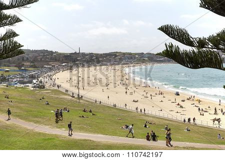 Bondi beach and surrounds, from Bondi Park.