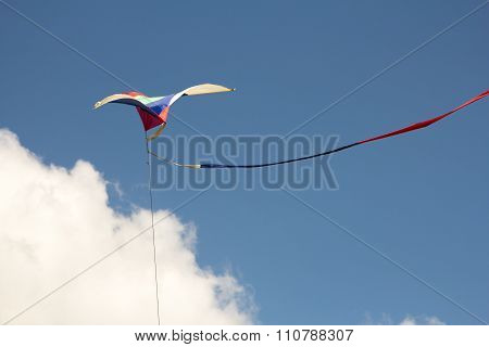 Colorful Kite