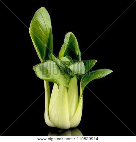 Pak Choi On Black